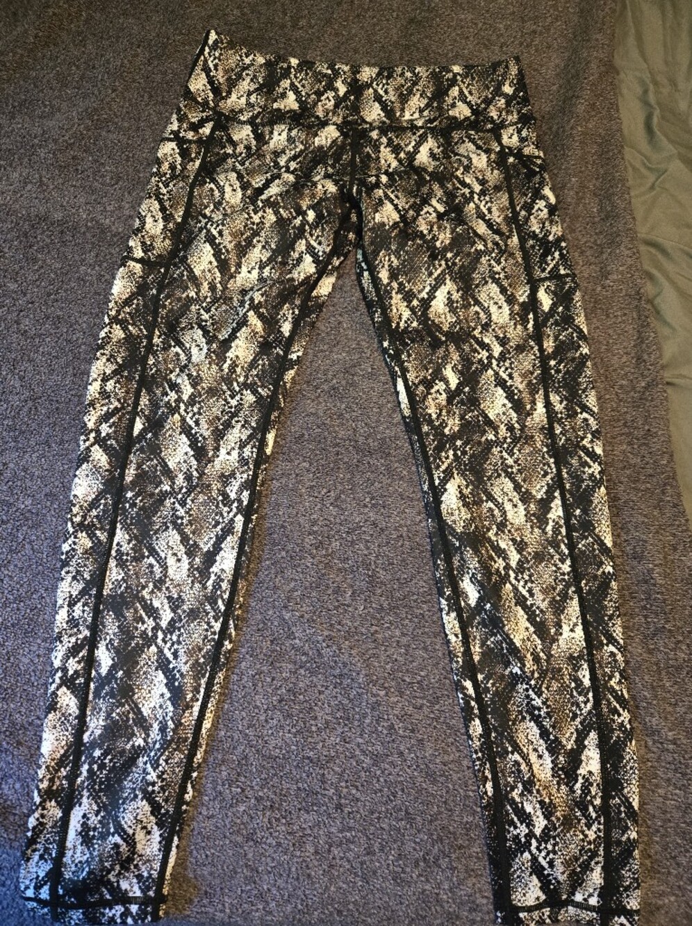 CVG Medusa Print Size LG